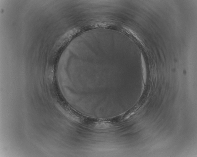 X0000071760451200607282152