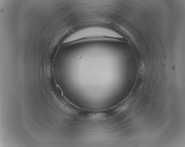 X0000071760452200607282152