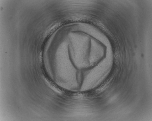 X0000071760454200607282152