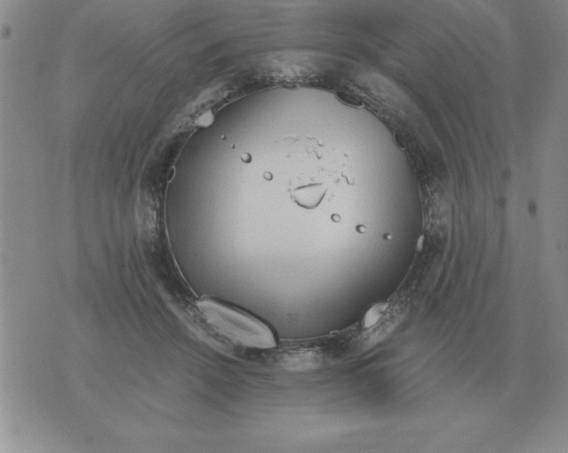 X0000071760456200607282152