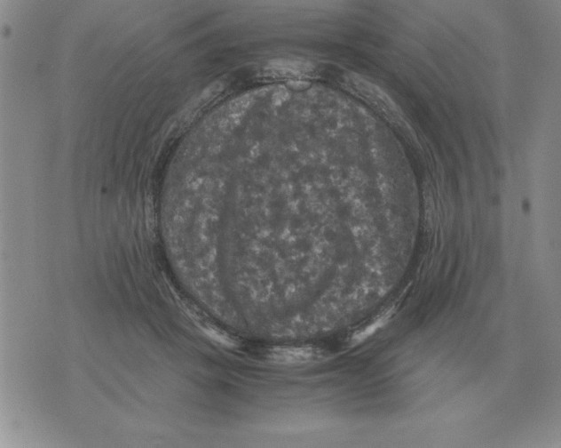 X0000071760457200607282152