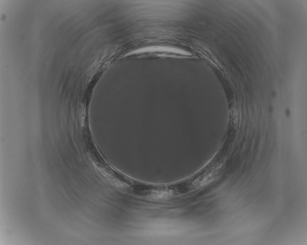 X0000071760458200607282152