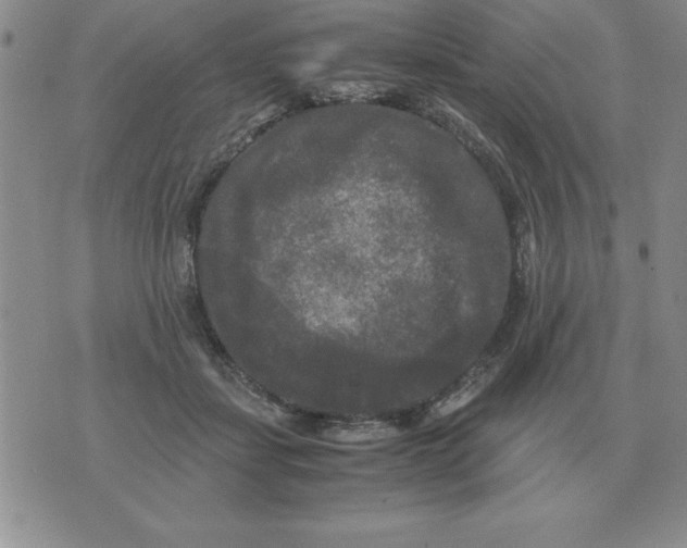 X0000071760459200607282152