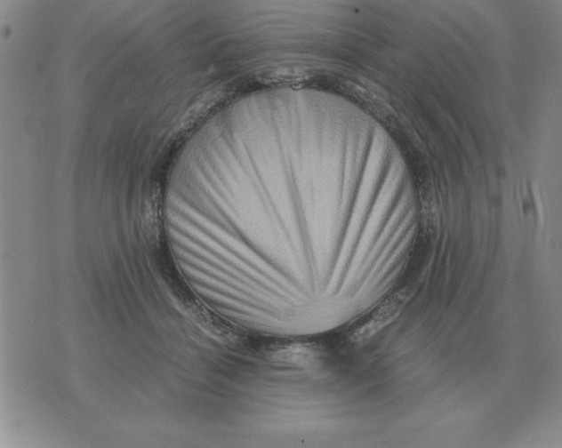 X0000071760460200607282152