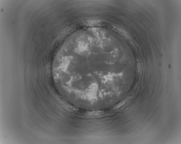 X0000071760461200607282152