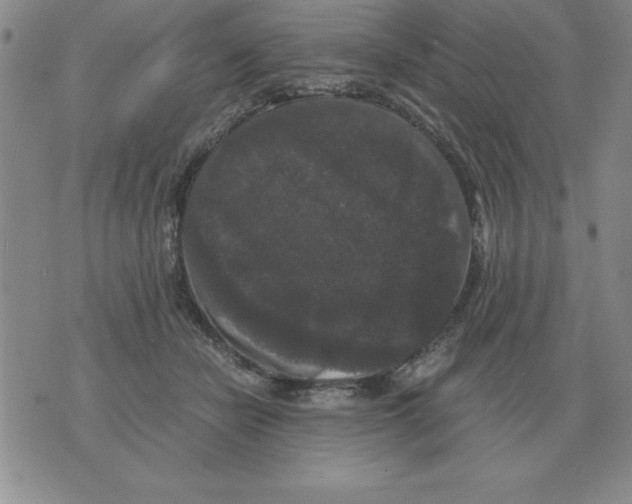 X0000071760462200607282152