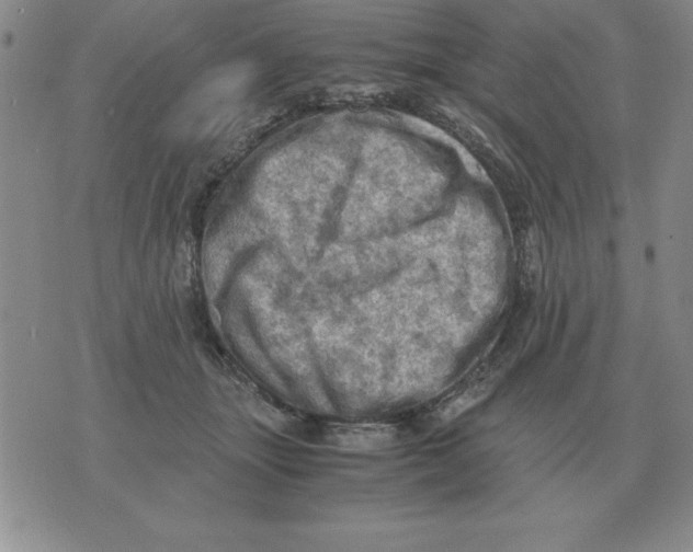 X0000071760463200607282152