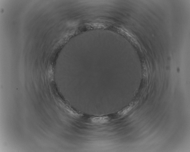 X0000071760465200607282152