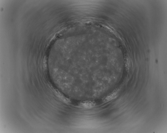 X0000071760466200607282152