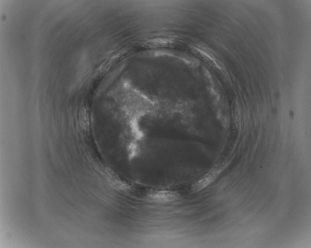 X0000071760467200607282152