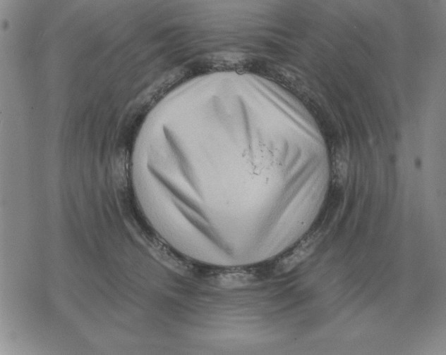 X0000071760468200607282152