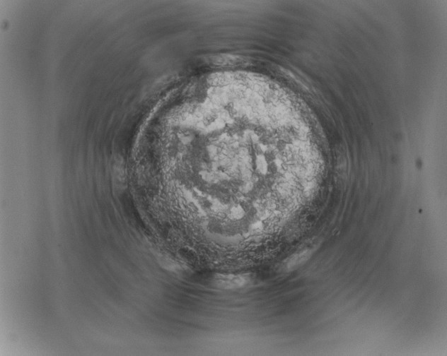 X0000071760469200607282152