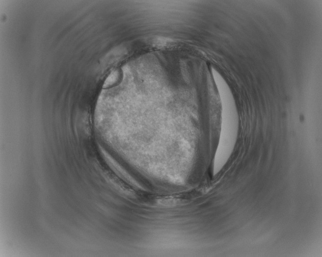 X0000071760470200607282152