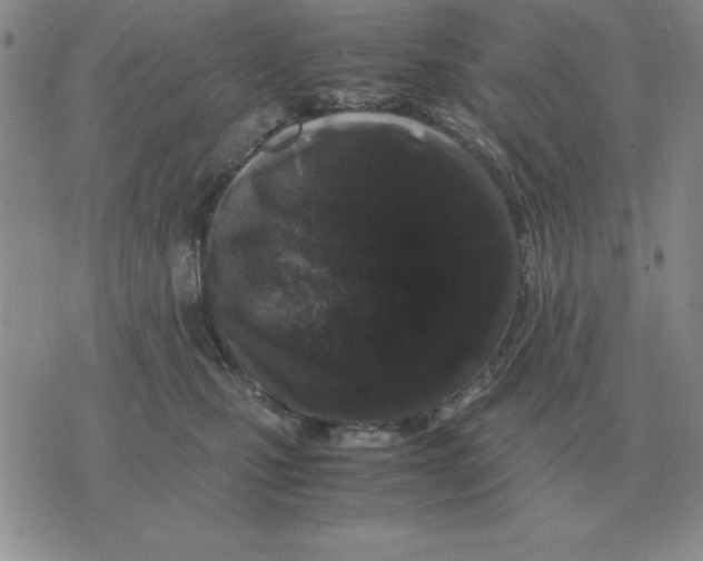 X0000071760471200607282152