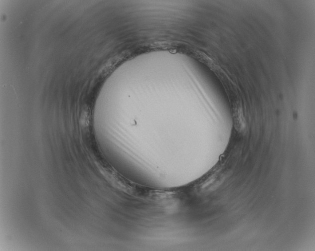 X0000071760472200607282152