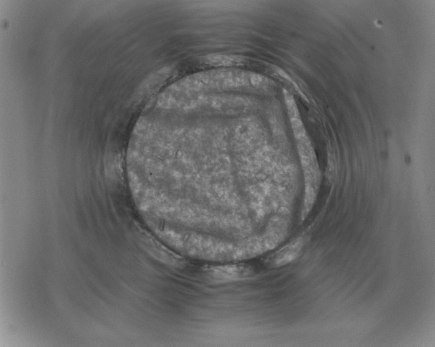 X0000071760473200607282152