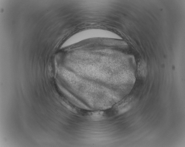 X0000071760474200607282152