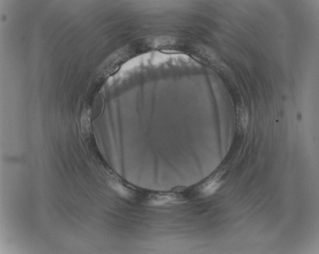 X0000071760475200607282152