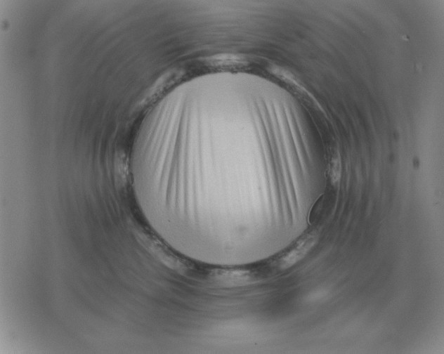 X0000071760476200607282152