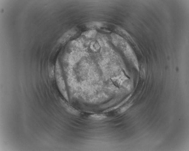 X0000071760477200607282152