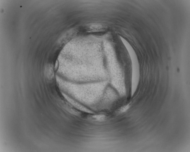 X0000071760478200607282152