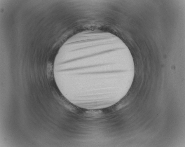 X0000071760480200607282152