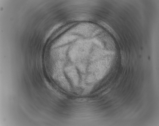 X0000071760482200607282151