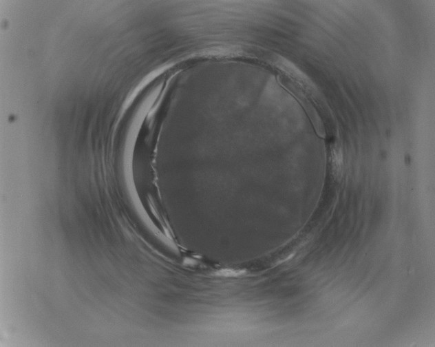 X0000071760484200607282151