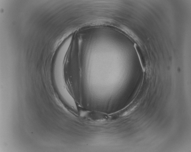 X0000071760485200607282151