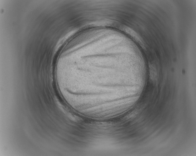 X0000071760486200607282151