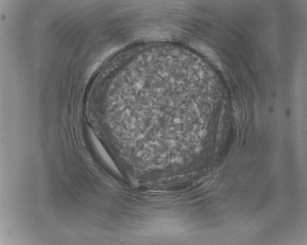 X0000071760487200607282151