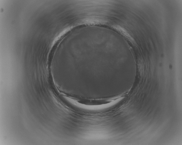 X0000071760488200607282151