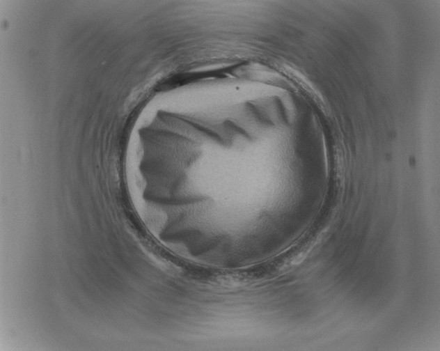 X0000071760489200607282151