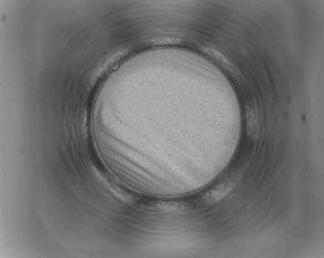 X0000071760490200607282151