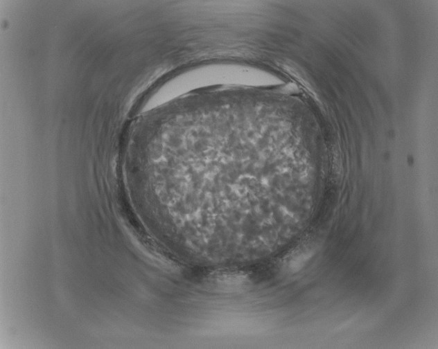 X0000071760491200607282151