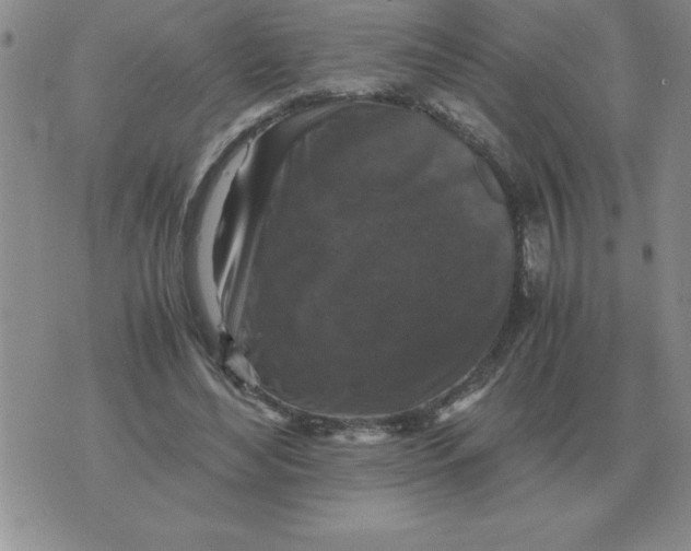 X0000071760492200607282151