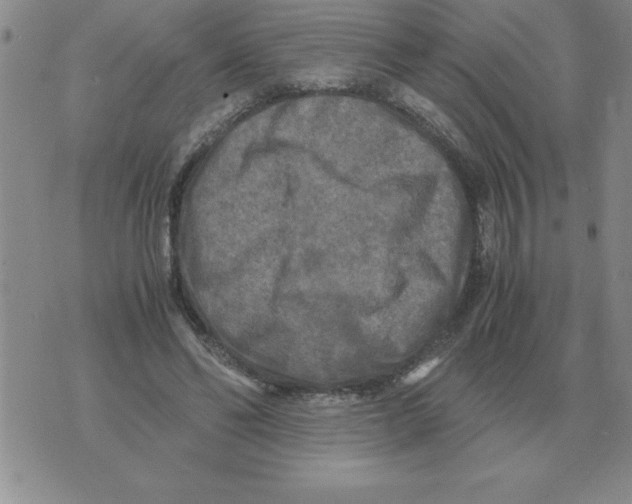 X0000071760494200607282151