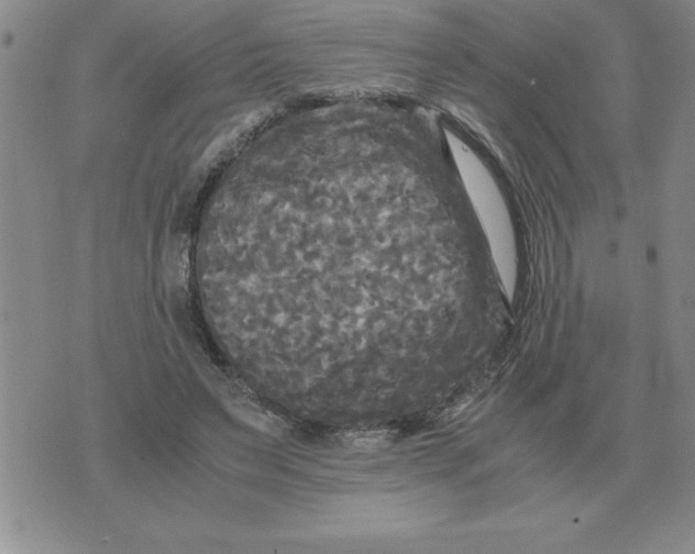 X0000071760495200607282151