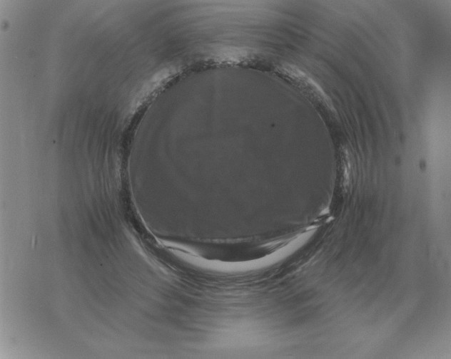 X0000071760496200607282151