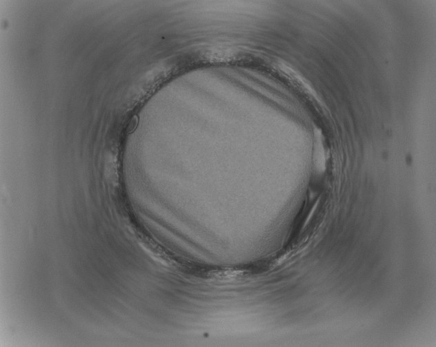 X0000071760497200607282151