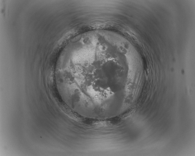 X0000071760499200607282151