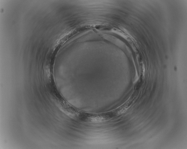 X0000071760500200607282151