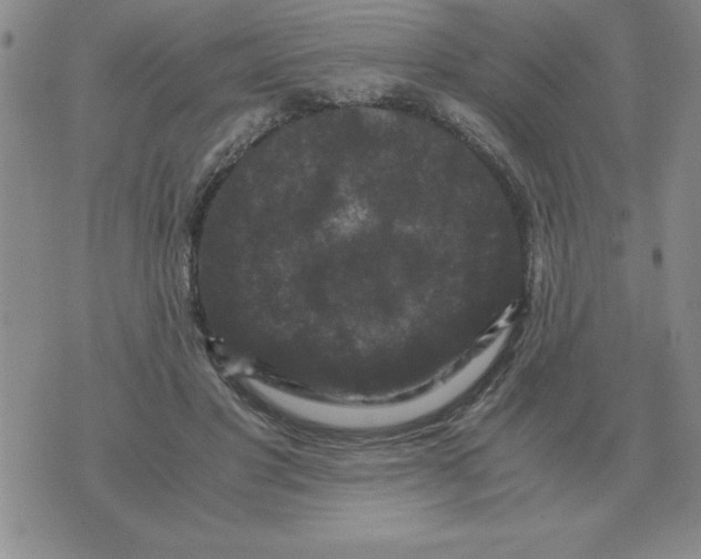 X0000071760501200607282151