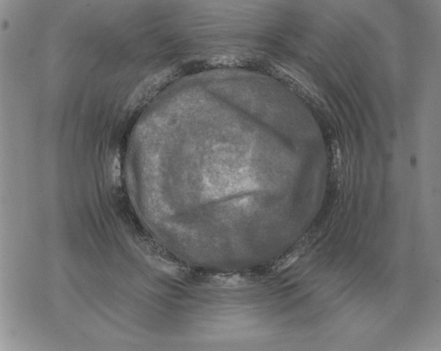 X0000071760502200607282151