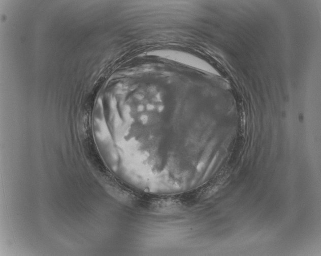 X0000071760503200607282151