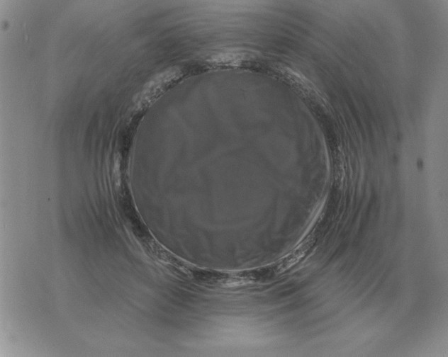 X0000071760504200607282151