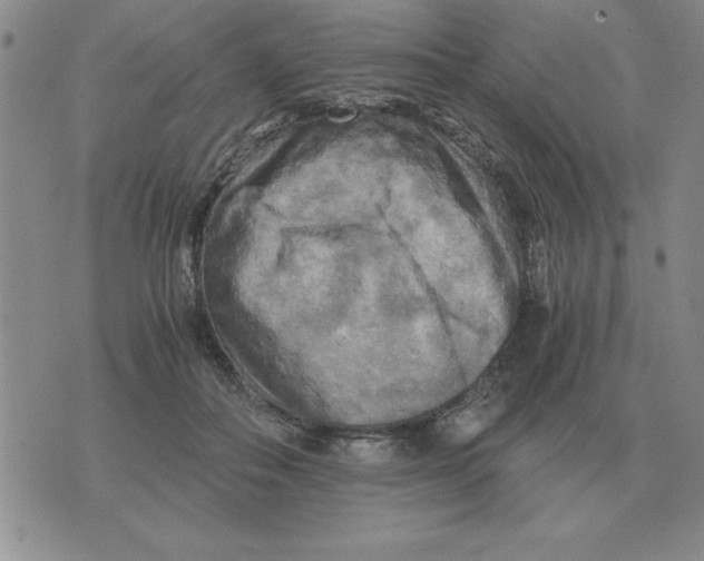 X0000071760506200607282151