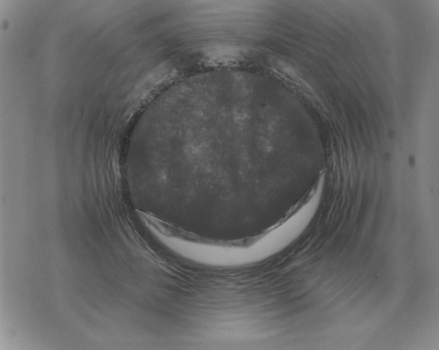 X0000071760508200607282151