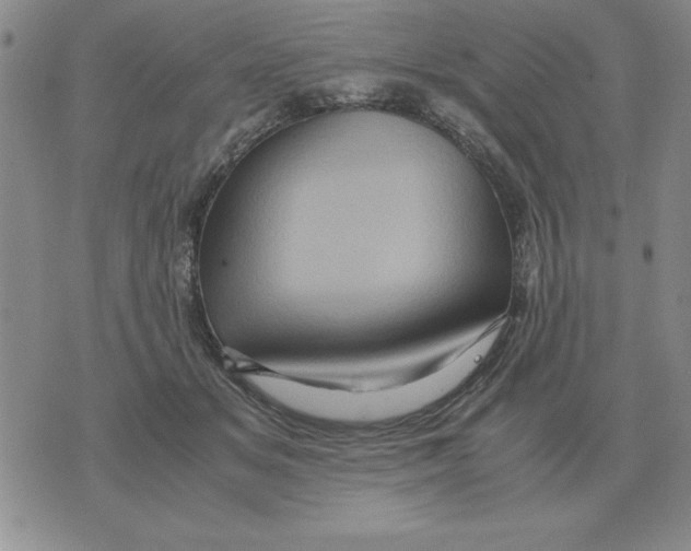 X0000071760509200607282151