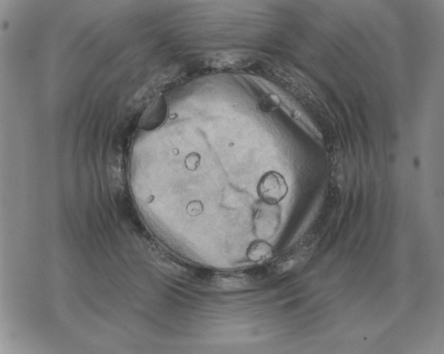 X0000071760510200607282151